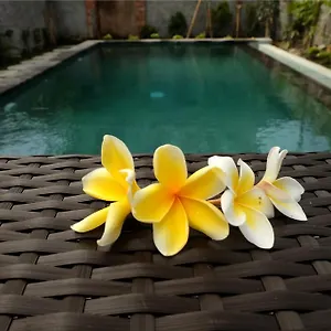 eka-bali-guest-house-ubud-bali.ubudhotelsnow.com/
